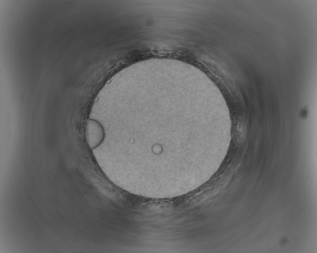 X0000116790865201001081311