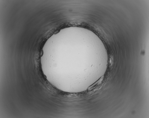 X0000116790867201001081311