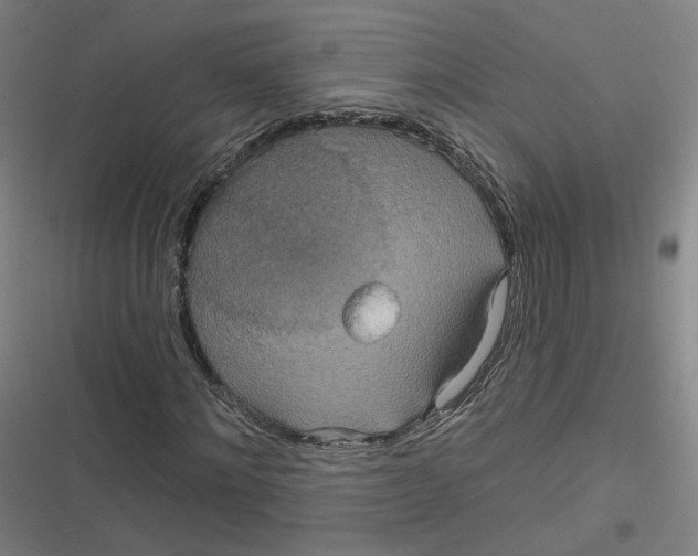 X0000116790868201001081311