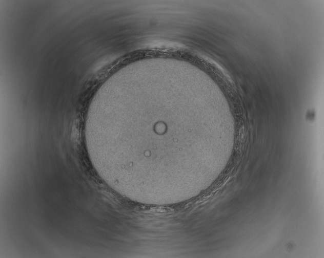 X0000116790869201001081311