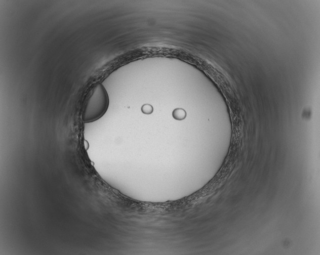 X0000116790870201001081311