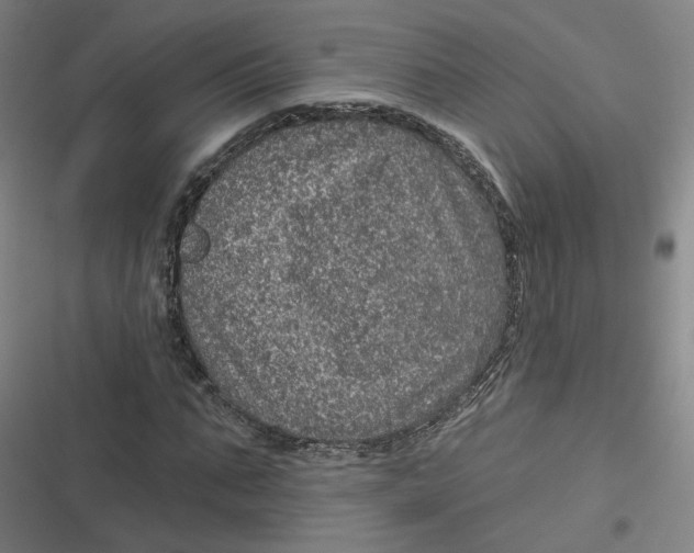 X0000116790871201001081311