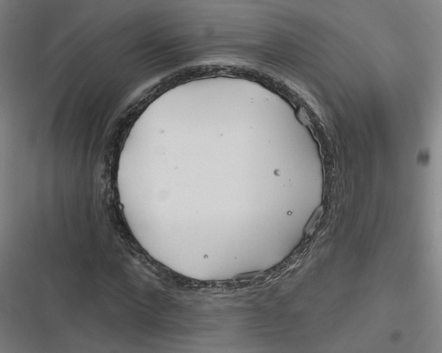 X0000116790872201001081311