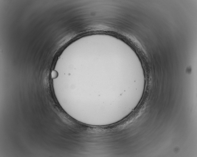 X0000116790873201001081311