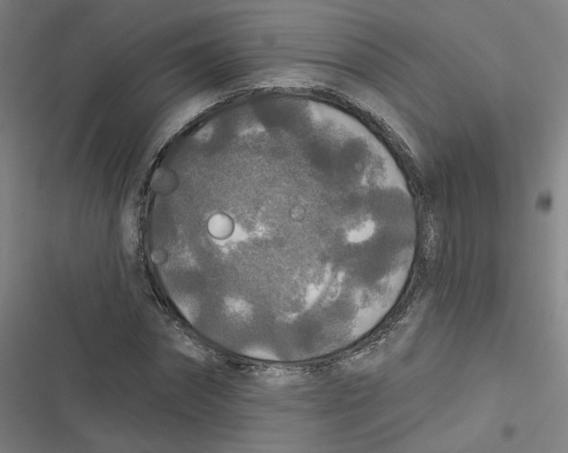 X0000116790874201001081311