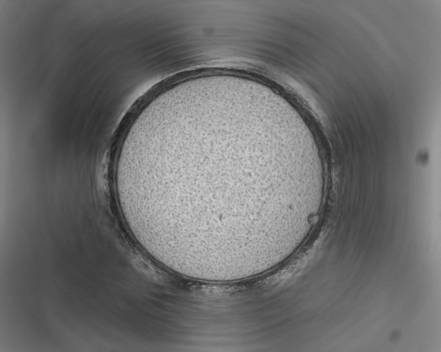 X0000116790875201001081311