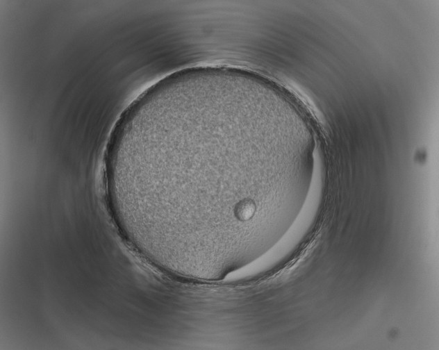 X0000116790876201001081311