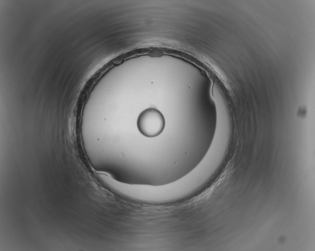 X0000116790877201001081311