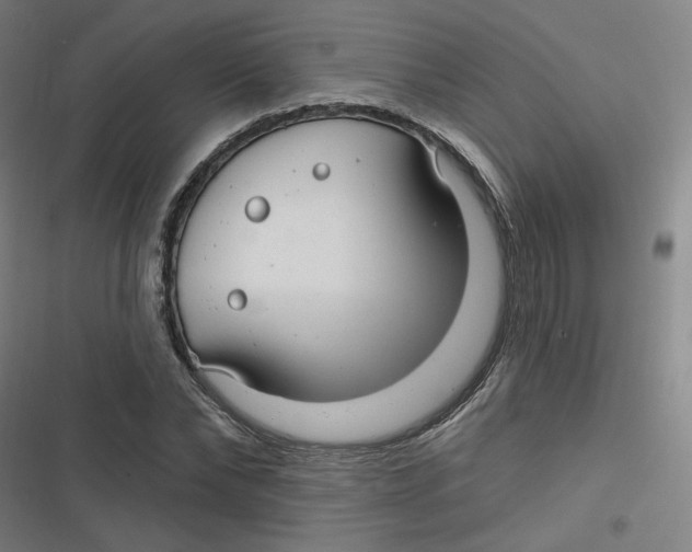 X0000116790878201001081311