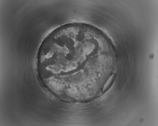 X0000116790879201001081311