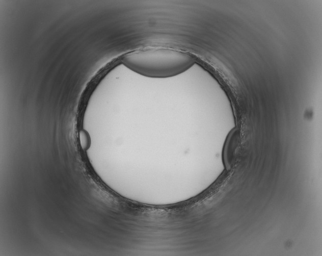 X0000116790880201001081311