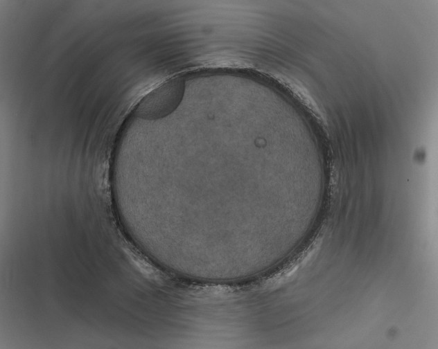 X0000116790881201001081311