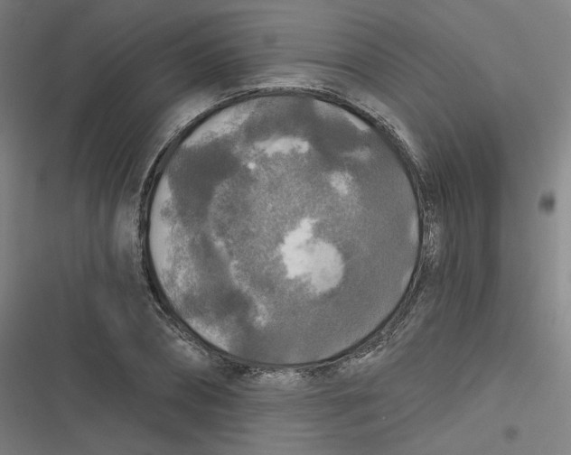 X0000116790882201001081311