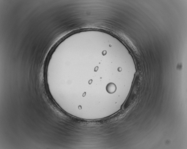 X0000116790884201001081311