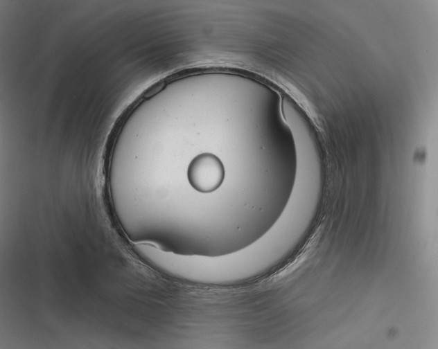 X0000116790885201001081311