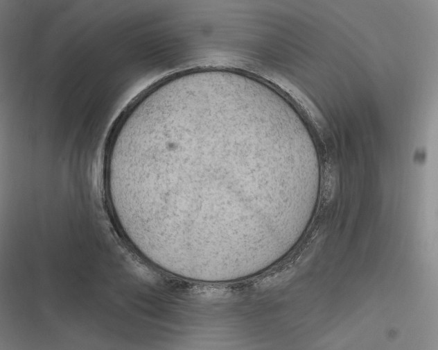 X0000116790886201001081311