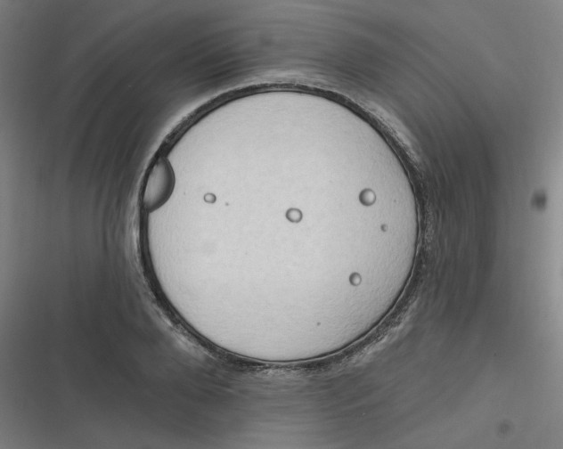 X0000116790888201001081311