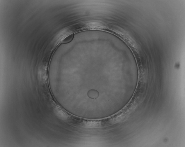 X0000116790889201001081311