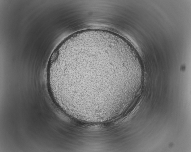 X0000116790891201001081311