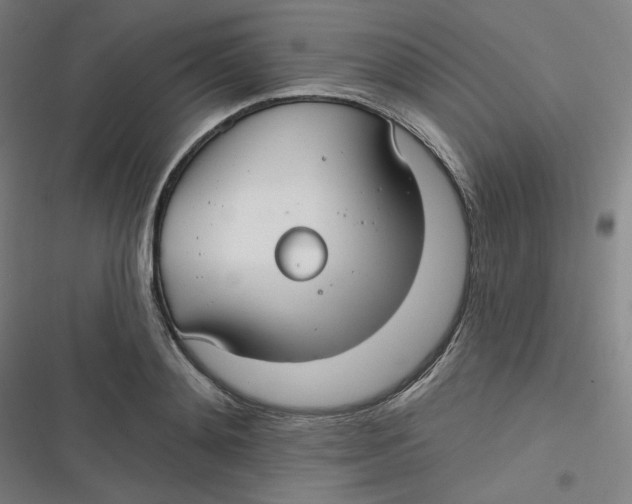 X0000116790892201001081311