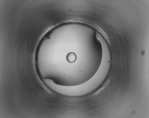 X0000116790893201001081311