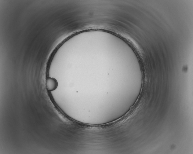 X0000116790894201001081311