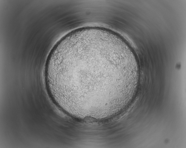 X0000116790895201001081311