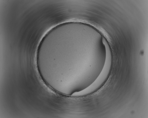 X0000116790896201001081311