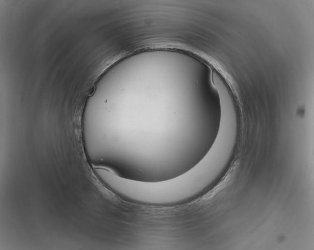 X0000116790897201001081311