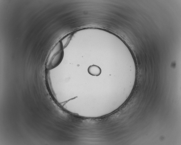 X0000116790898201001081311