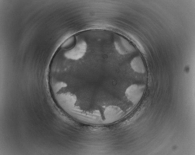 X0000116790899201001081311