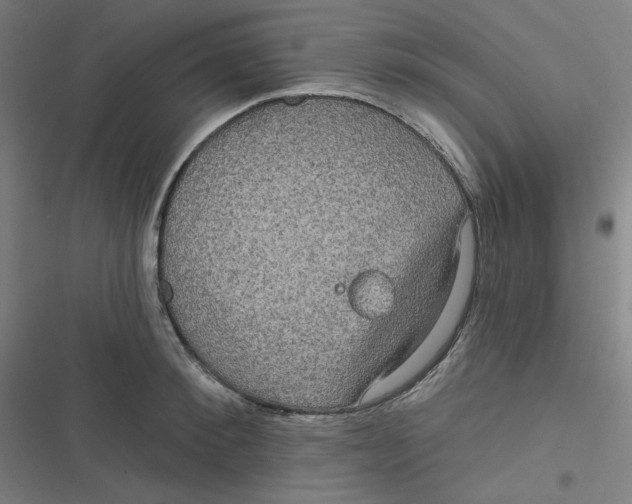 X0000116790900201001081311