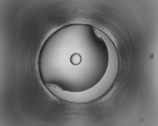 X0000116790901201001081311