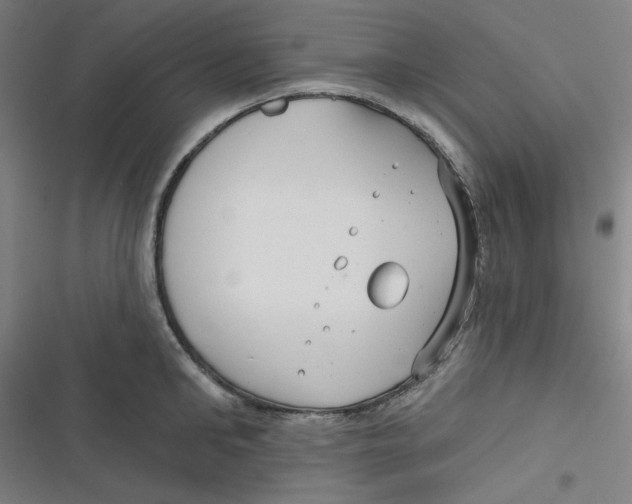 X0000116790902201001081311