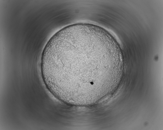 X0000116790903201001081311