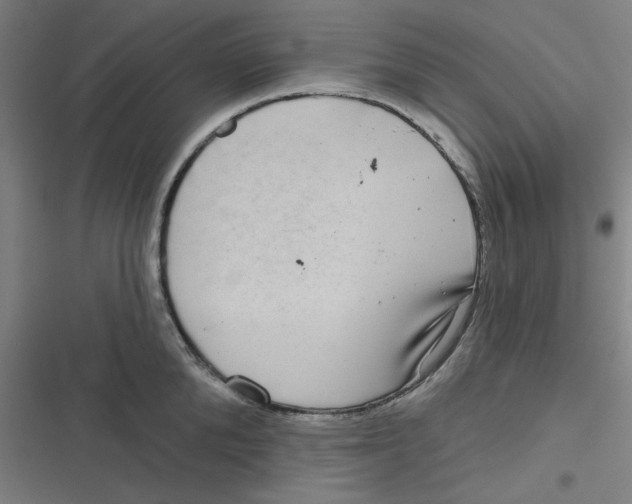 X0000116790904201001081311