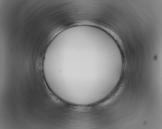 X0000116790905201001081311