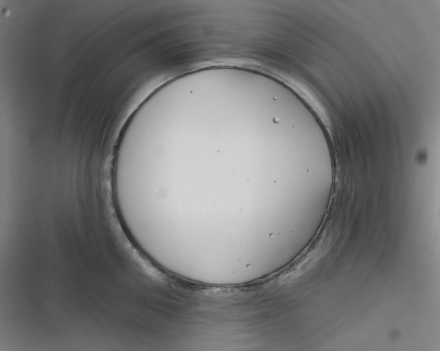 X0000116790906201001081311