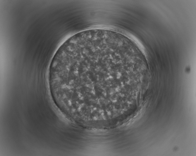 X0000116790907201001081311