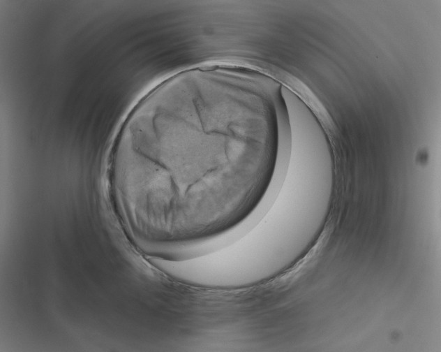 X0000116790908201001081311