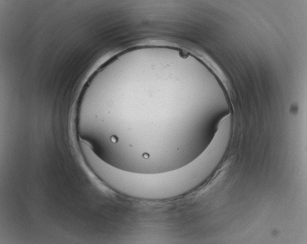 X0000116790909201001081311