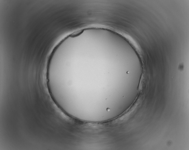 X0000116790910201001081311