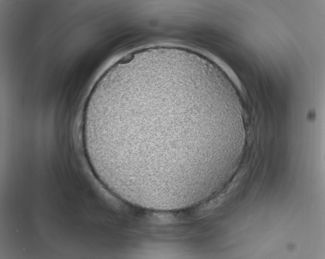 X0000116790911201001081311