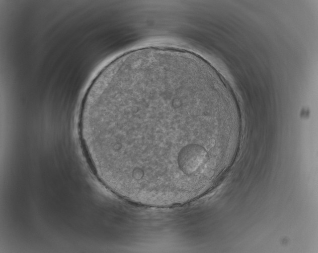 X0000116790912201001081311