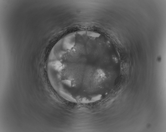 X0000116790913201001081310