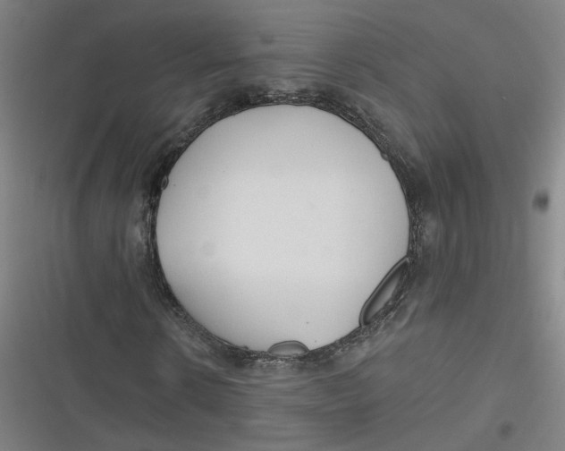 X0000116790914201001081310