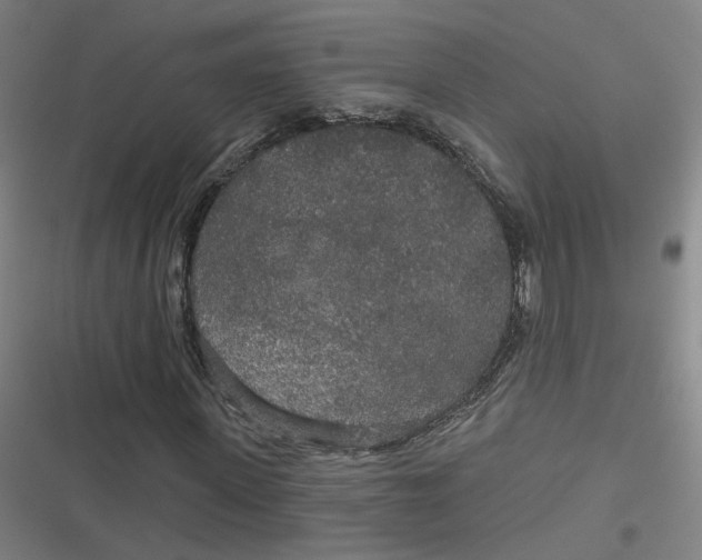 X0000116790915201001081310