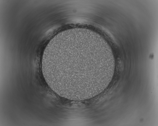 X0000116790918201001081310