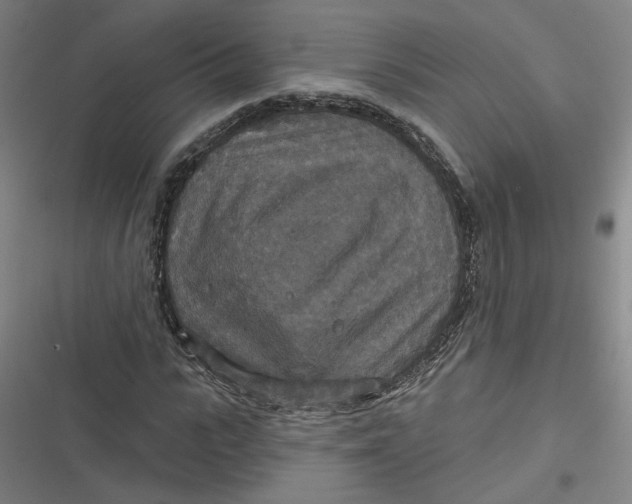 X0000116790919201001081310