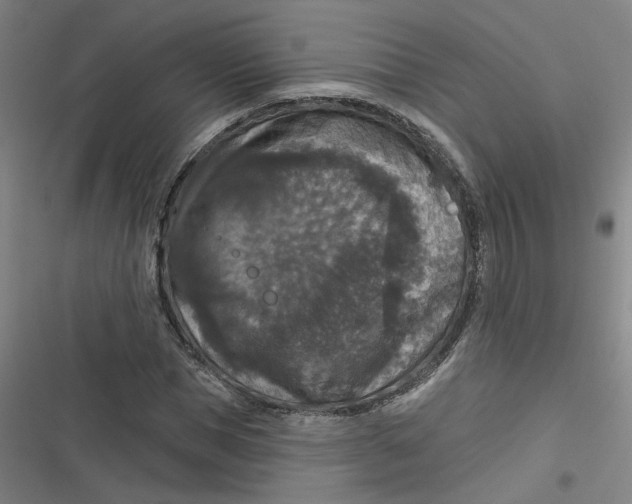 X0000116790921201001081310